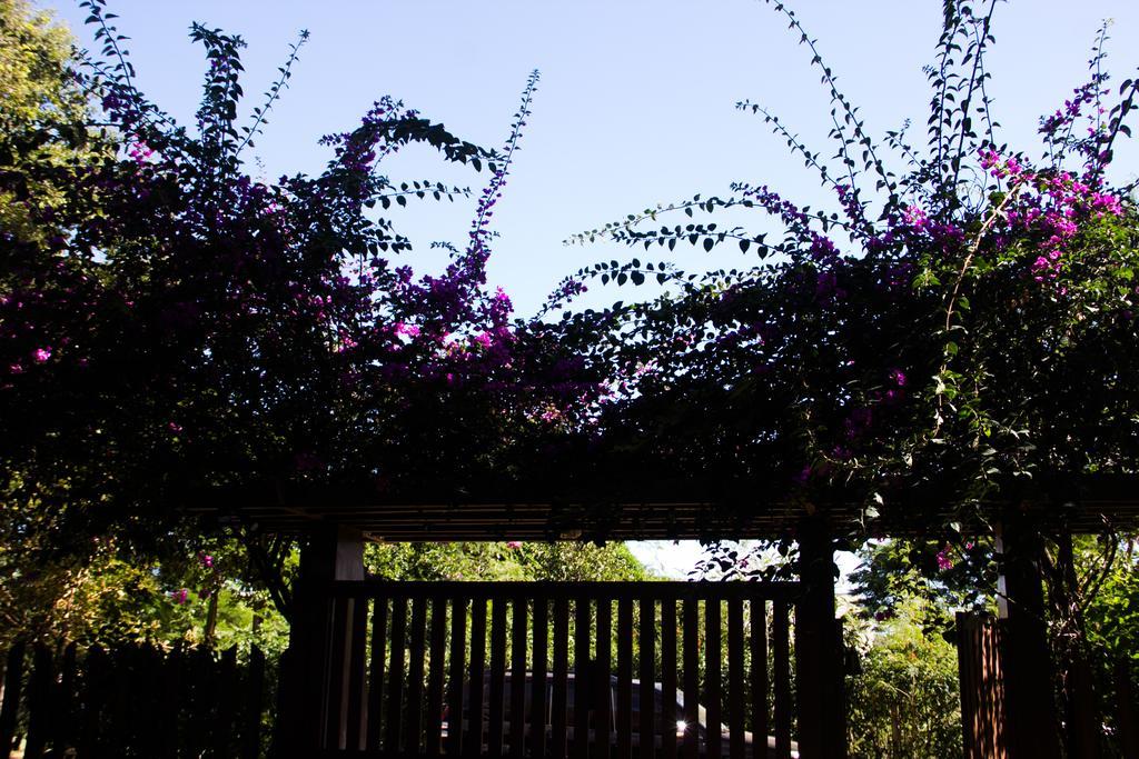 Pousada Da Mata อีรีรี ภายนอก รูปภาพ