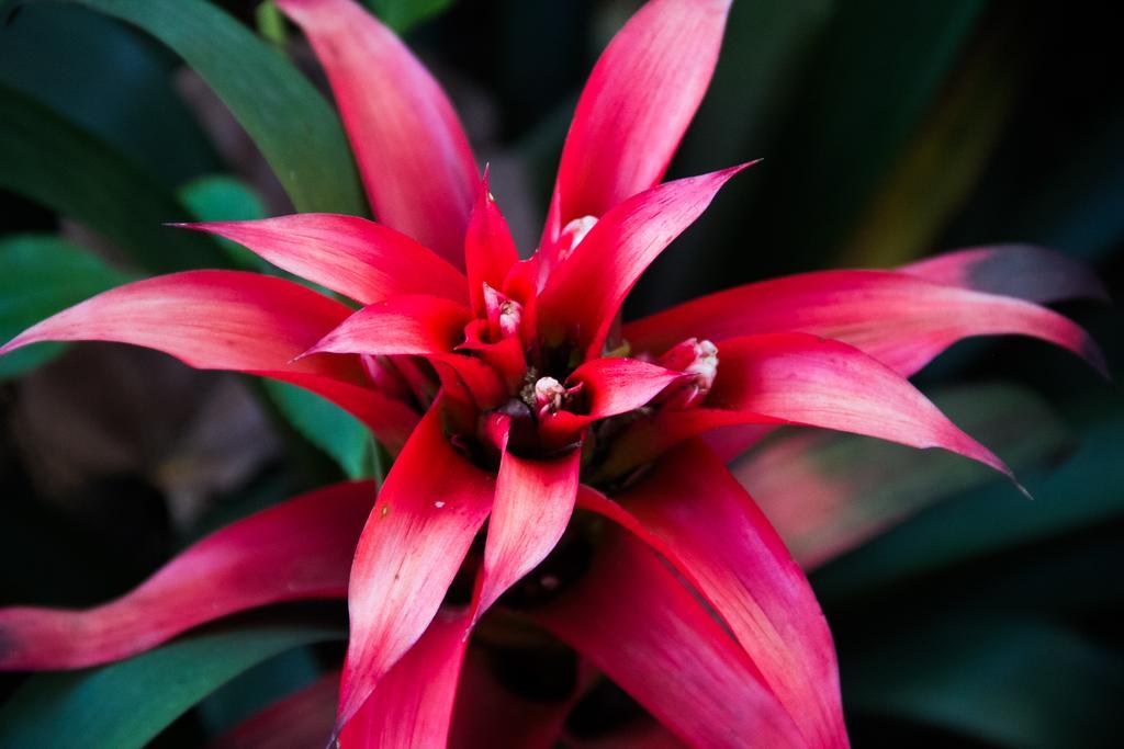 Pousada Da Mata อีรีรี ภายนอก รูปภาพ